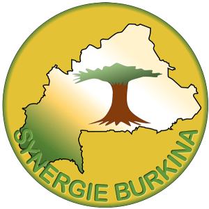 Synergie Burkina V04d-reduit