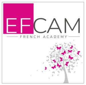 Logo EFCAM Audiovisuel carré